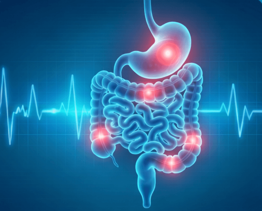 Gastroenterology